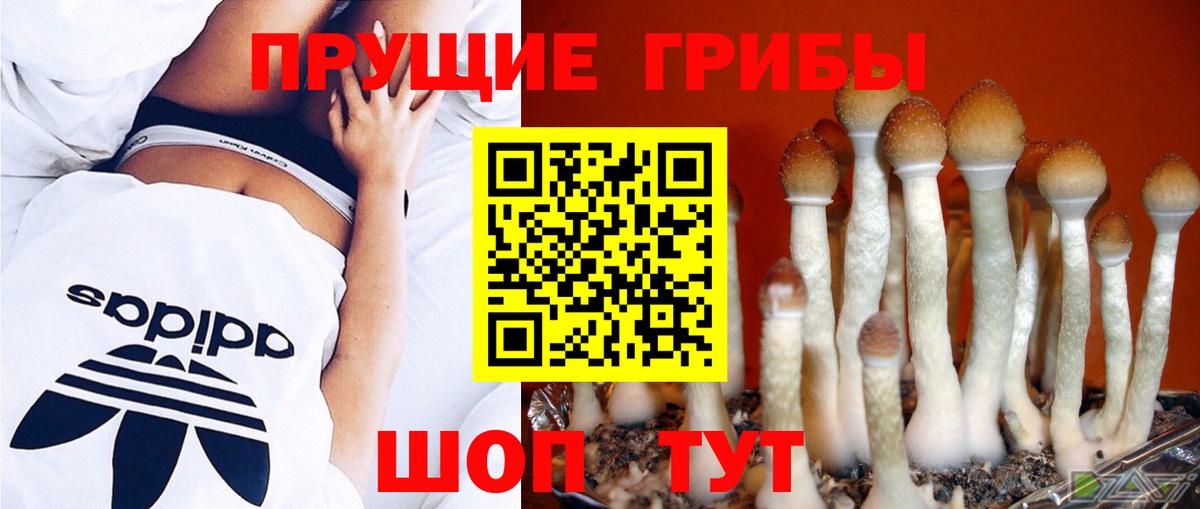 купить   Псилоцибиновые грибы Psilocybine cubensis  Вход с VPN  Сухой Лог  Псилоцибиновые грибы мухоморы 